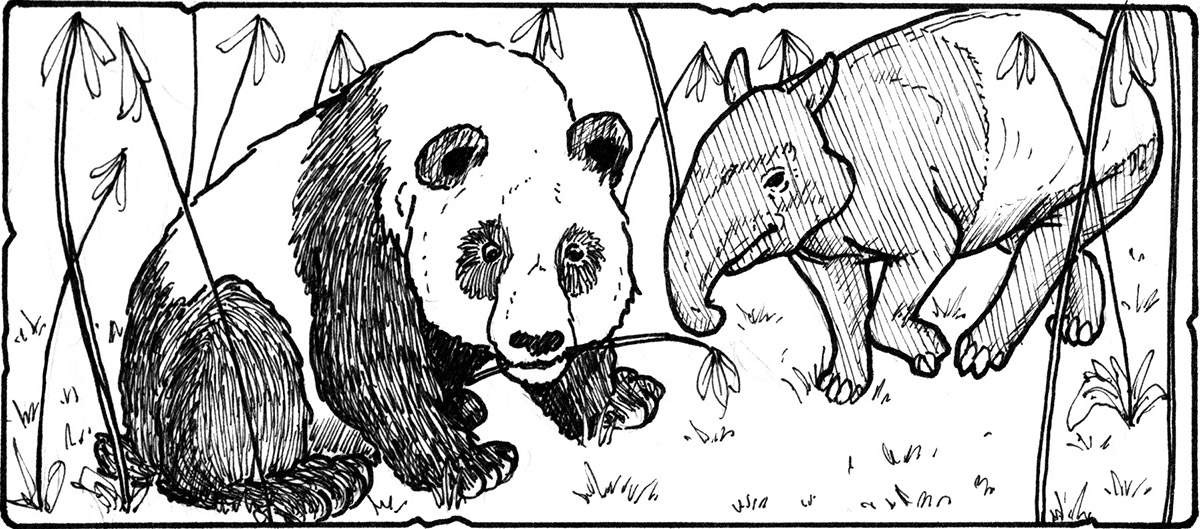 Pandas and Tapirs